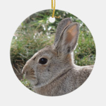 Cottontail Rabbit Ornaments