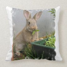 Cottontail Rabbit Pillow