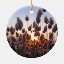 Cottontails summer grasses ornament