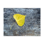 Cottonwood Leaf postcards
