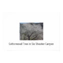 Cottonwood Tree in Six Shooter Canyon posters by ndill Cottonwood Tree in Six Shooter Canyon posters