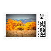 Cottonwoods of Colorado Postage Stamps
