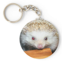 Cotty hedgehog keychains