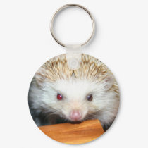 Cotty hedgehog keychains