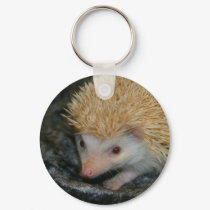 Cotty hedgehog keychains