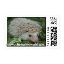 Cotty hedgehog stamp