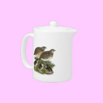 Coturnix Quail Family teapots