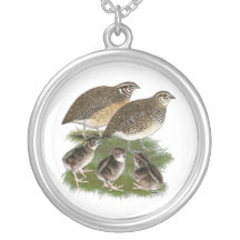 Coturnix Quail Family Jewelry