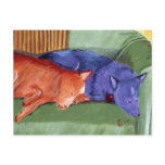 couch potatoes gallery post cards
