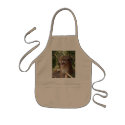 Cougar 001 aprons