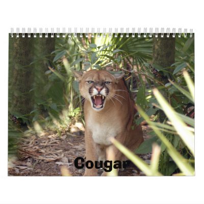 Cougar 001, Cougar Calendars by BCRcats