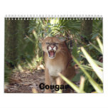 Cougar 001, Cougar Calendars
