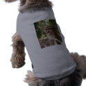 Cougar 001 pet clothing