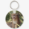 Cougar 001 keychains