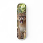 Cougar 001 skate boards