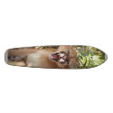 Cougar 001 skateboards