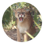 Cougar 001 stickers