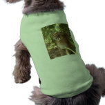 Cougar 002 dog tshirt