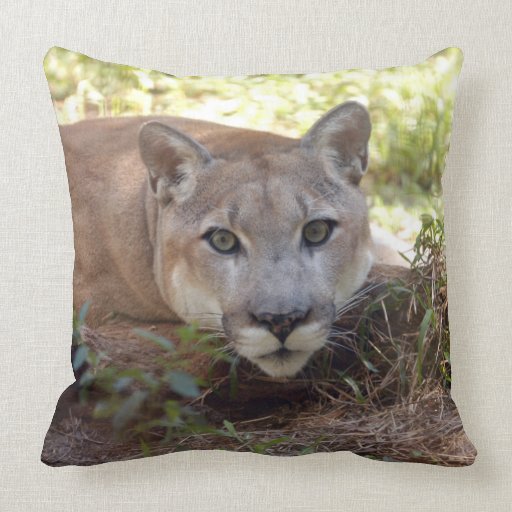 Cougar 006 throw pillows