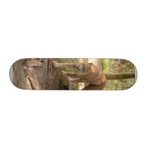 Cougar 007 skateboards