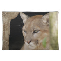 Cougar 013 placemats