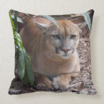 Cougar 018 pillow