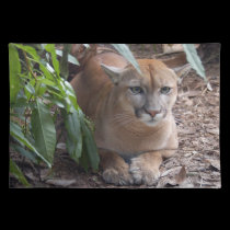 Cougar 018 placemats