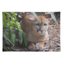 Cougar 018 placemats