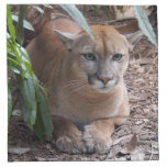 Cougar 018 printed napkin 