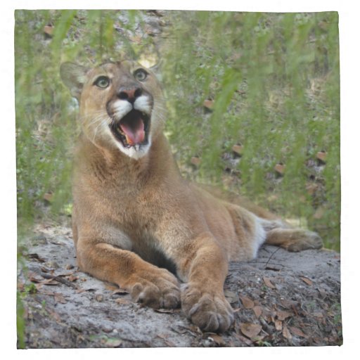 Cougar 019 printed napkin 