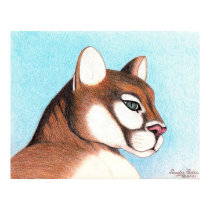 Cougar #2 posters