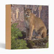 Cougar and Pictographs Binder