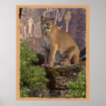 Cougar and Pictographs Print