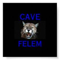 COUGAR Beware Of The Cat - In Latin.. - posters by davidt5 COUGAR Beware Of The Cat - In Latin.. - posters