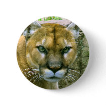 Cougar Pins