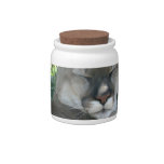 Cougar Candy Jar