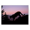 cougar cards