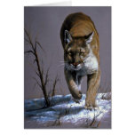 Cougar Cards
