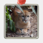 Cougar Christmas Ornament