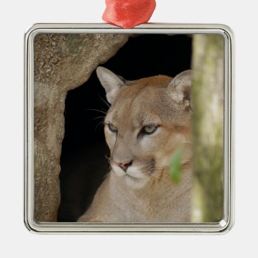 Cougar Christmas Ornament