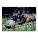 Cougar cub and Tortoise Greeting Card