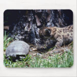 Cougar cub and Tortoise Mousepads