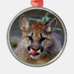 Cougar Cub Christmas Ornament