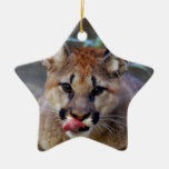 Cougar Cub Christmas Ornament
