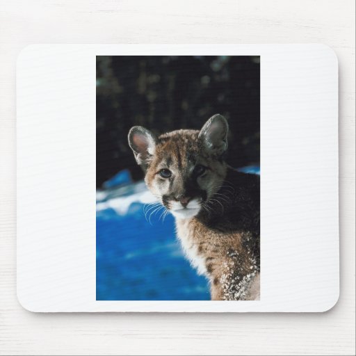 Cougar Cub Mousepad