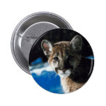 Cougar Cub Pinback Button