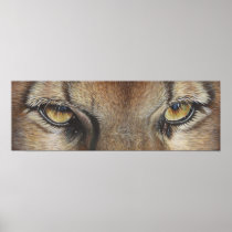 Cougar Eyes #2 Print