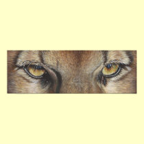 Cougar Eyes #2 posters