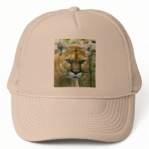 Cougar Mesh Hat