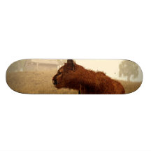 Cougar in a Field Skateboards